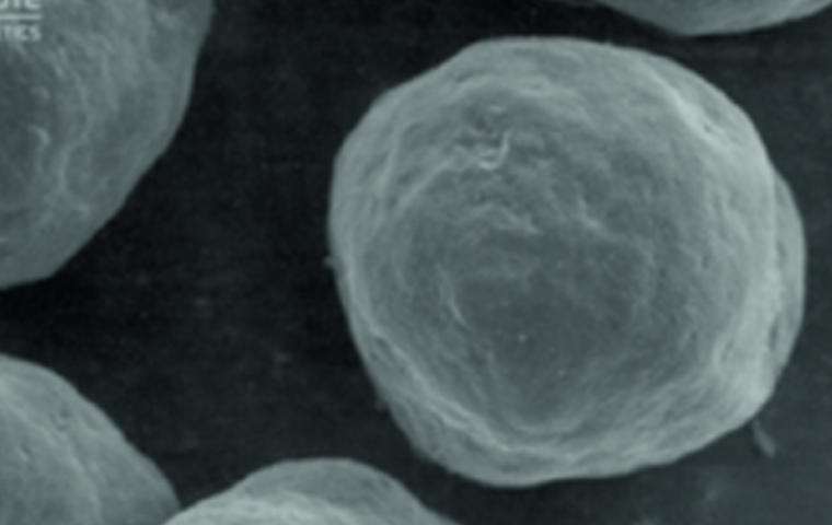 겔 캐리어 내 CaHA입자